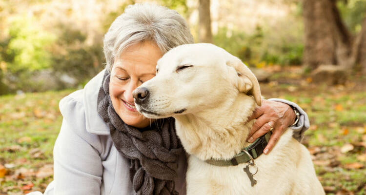 Seniors and Pets, Seniors and Pets: A Great Relationship, Senior Pet Care, Senior Care, Caregiver